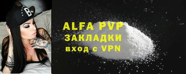 сатива Коряжма