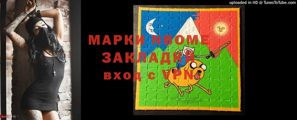 сатива Коряжма