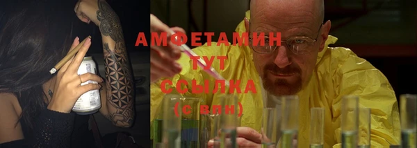 сатива Коряжма