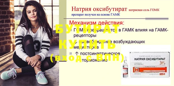 сатива Коряжма
