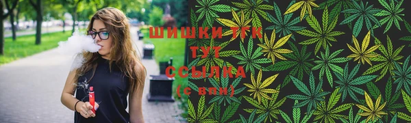 сатива Коряжма