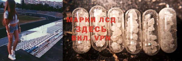 сатива Коряжма