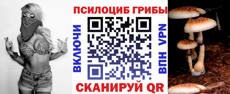 Купить где Котлас Псилоцибиновые грибы прущие грибы