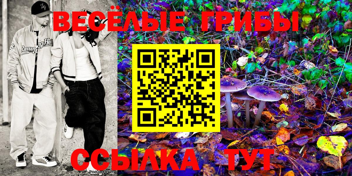 Галлюциногенные грибы MAGIC MUSHROOMS  Вход с VPN  Котлас  Галлюциногенные грибы Psilocybe 