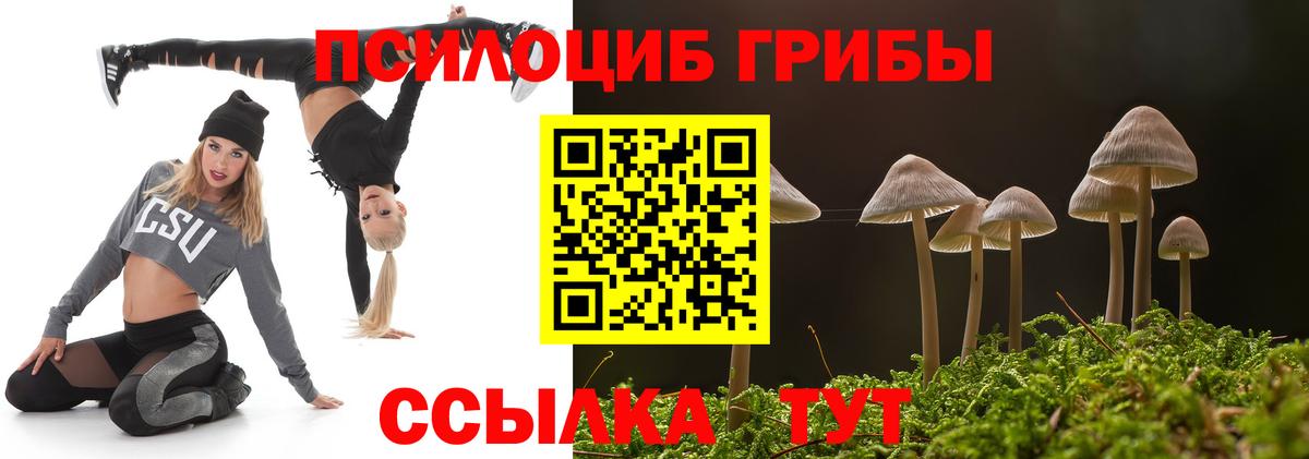 Псилоцибиновые грибы GOLDEN TEACHER  Псилоцибиновые грибы Psilocybe  Котлас 