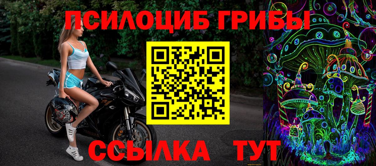 Псилоцибиновые грибы GOLDEN TEACHER Котлас