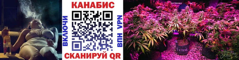 Конопля Bruce Banner  Купить  Котлас 